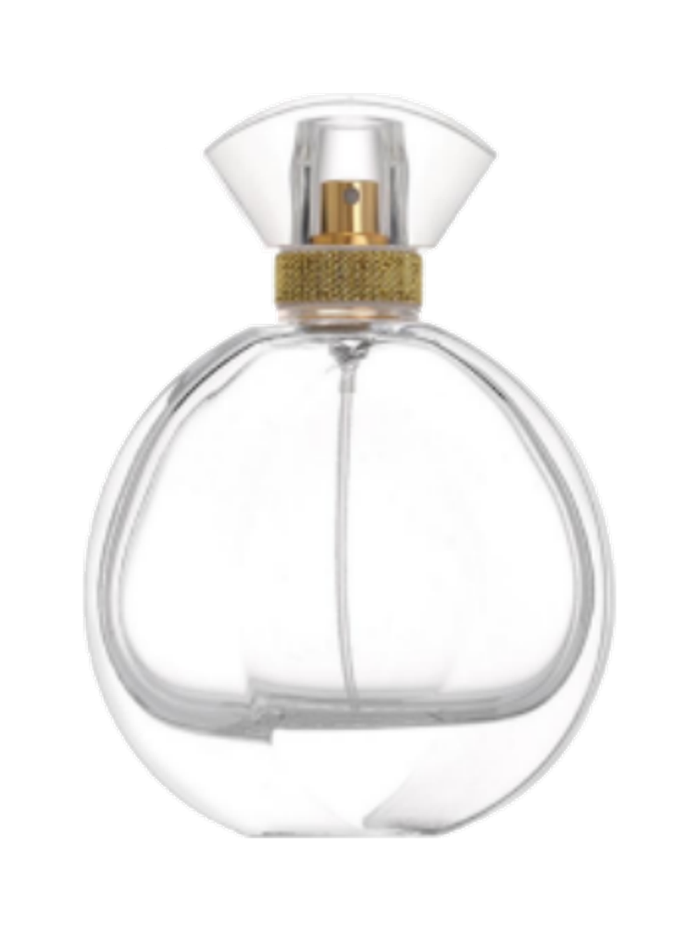 100ml コンパクトな平型香水ボトル ガラス 品番XB219