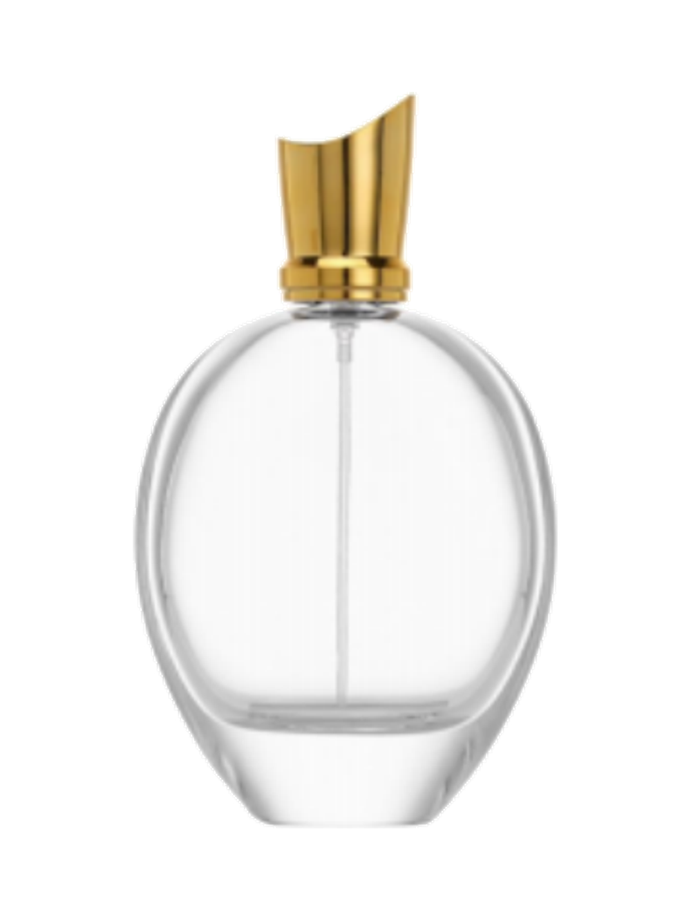 100ml コンパクトな平型香水ボトル ガラス 品番XB346