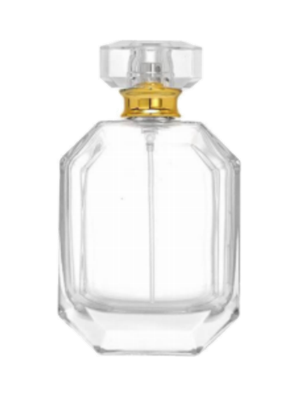 100ml コンパクトな平型香水ボトル ガラス 品番XB442